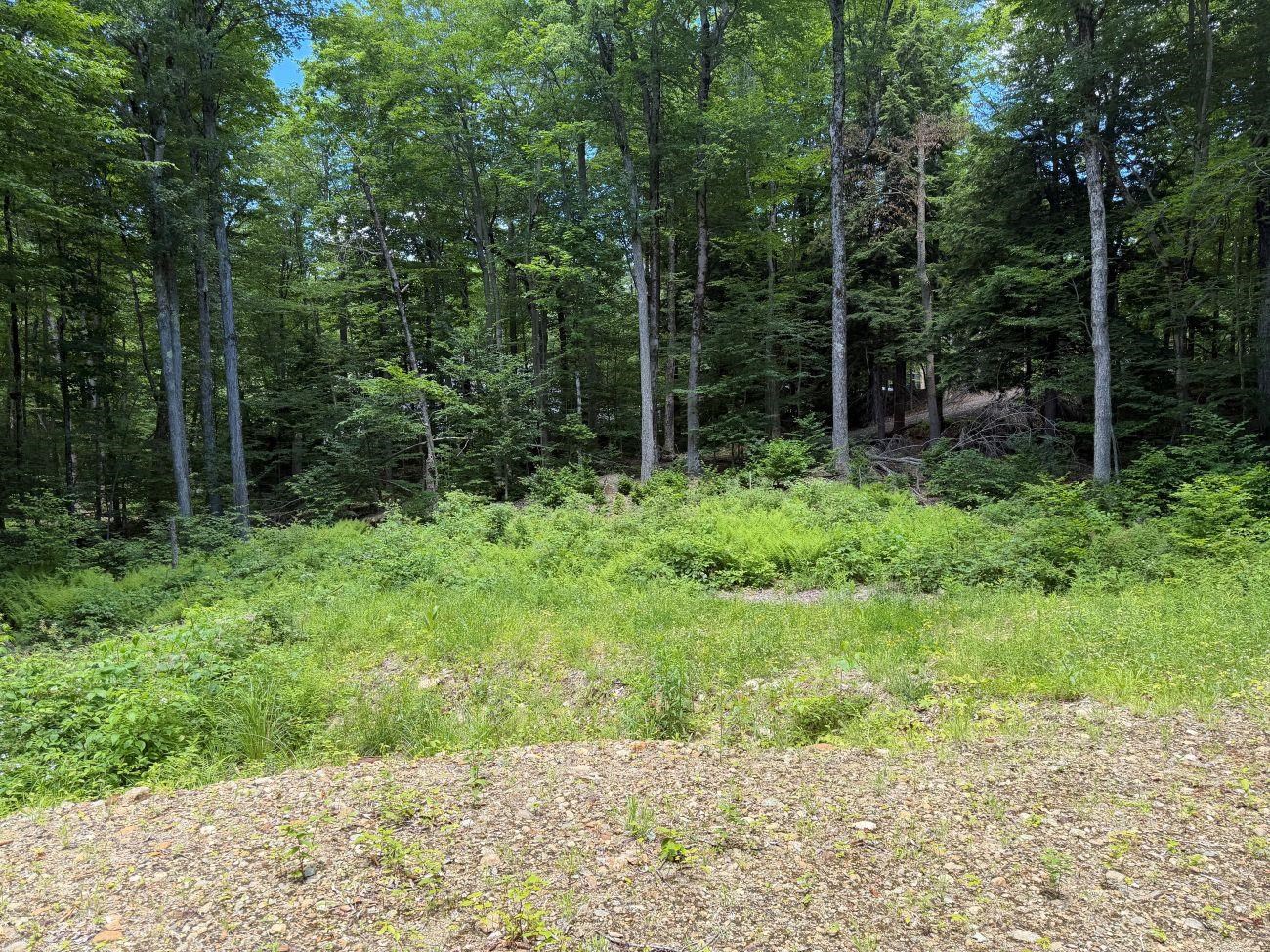 151 Red Coat Lane Stoddard, NH 03464 - Photo 9 of 23