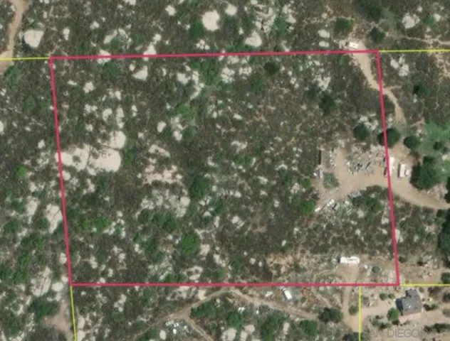 a view of flowers in a yard