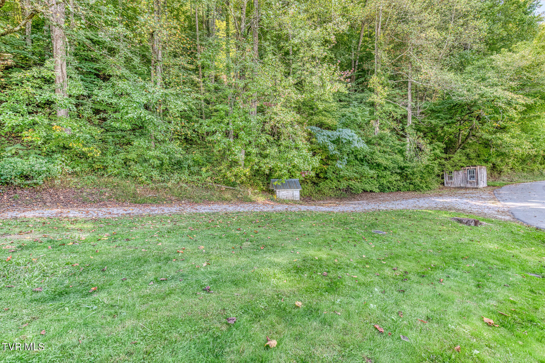 301 Polly Erwin Road Erwin, TN 37650 - Photo 38 of 39 301 Polly Erwin Rd-38