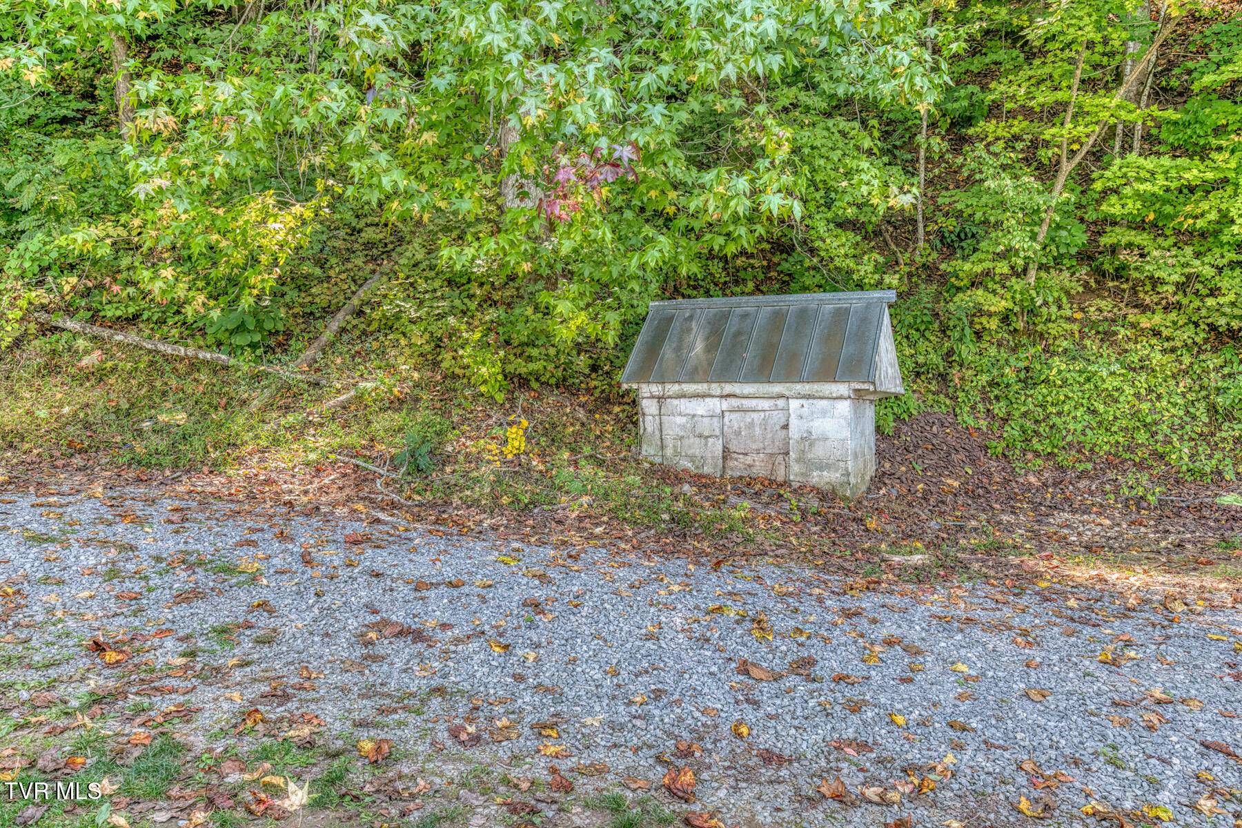 301 Polly Erwin Road Erwin, TN 37650 - Photo 39 of 39 301 Polly Erwin Rd-39