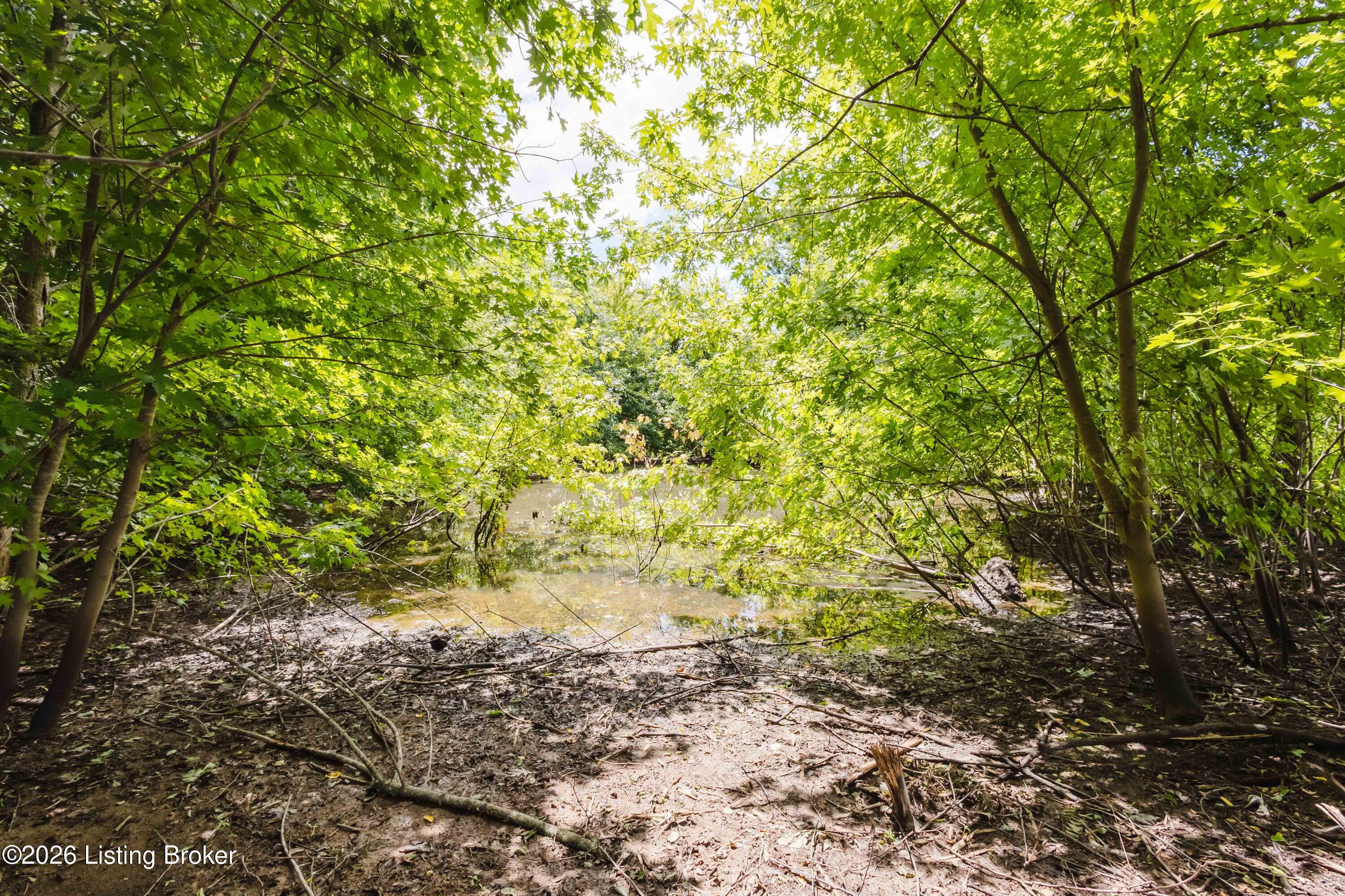 7438 Bagdad Road Bagdad, KY 40003 - Photo 70 of 78 7438 and 5015 Bagdad Rd-70