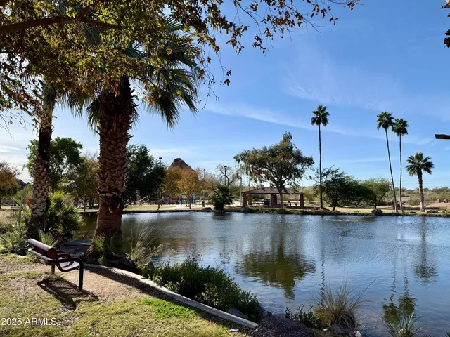 a view of a lake with boats and trees in the background