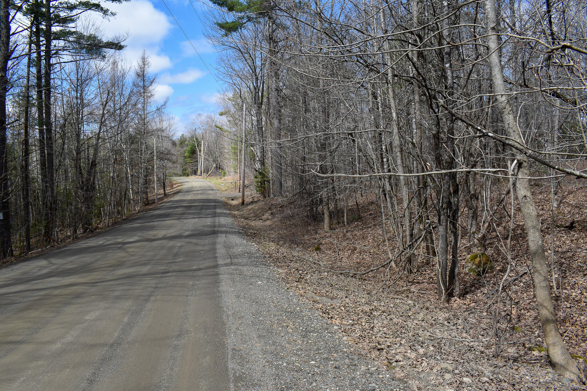 0 Borough Road Dover-Foxcroft, ME 04426 - Photo 2 of 26 DSC_0404