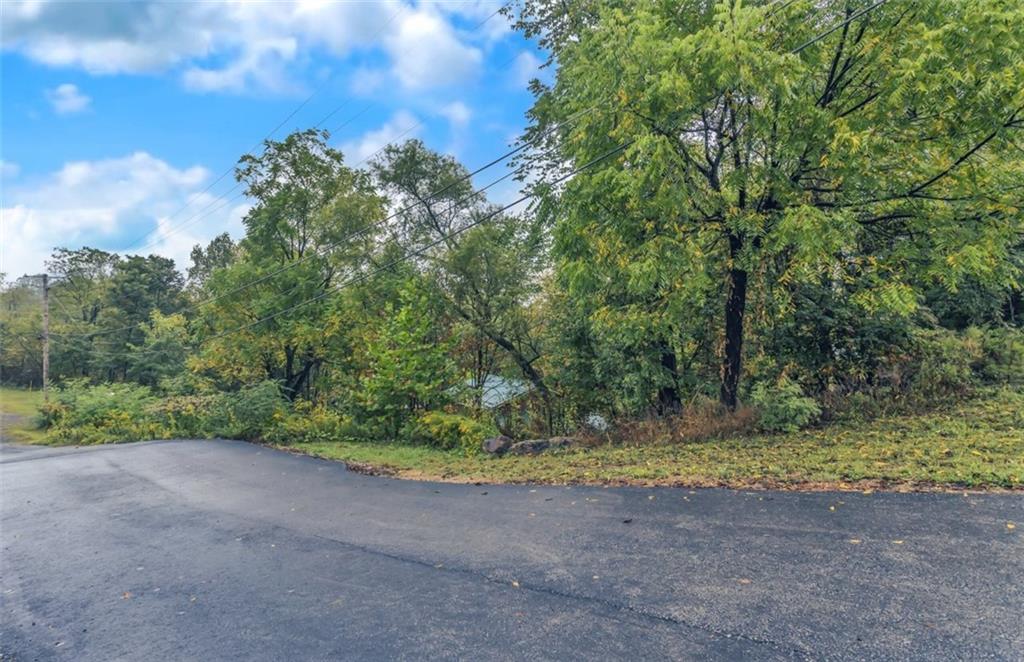 1225 Mercer Road Ellwood City, PA 16117 - Photo 36 of 36 The tree-lined lot offers additional privacy & serenity...