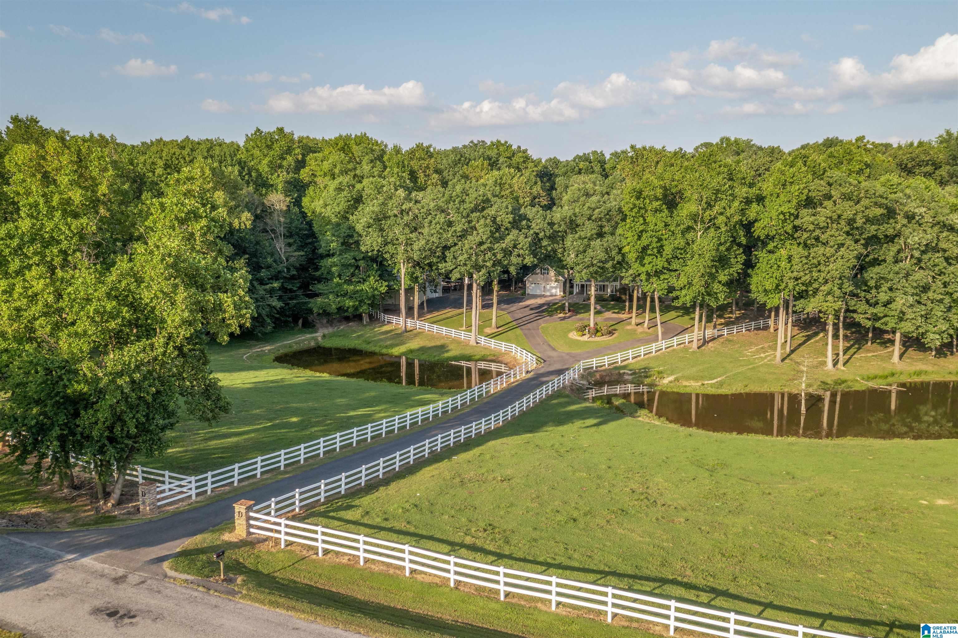 253 County Road 203 Boaz, AL 35957 - Photo 53 of 59