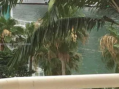 a view of a yard with a fountain