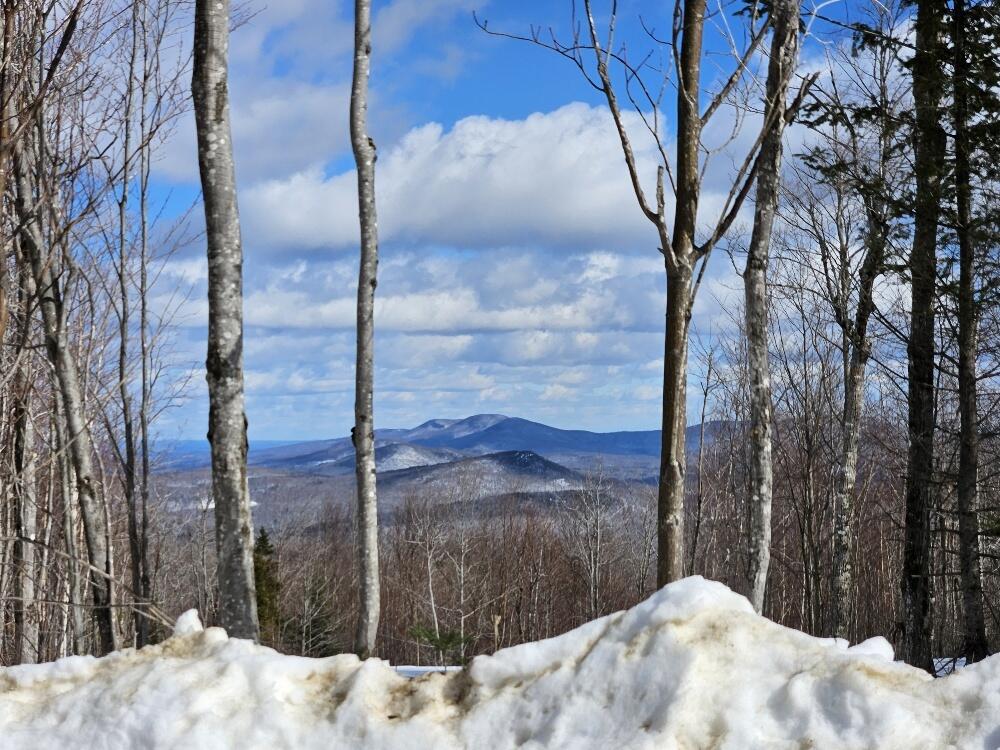 Lot 9 East Moose Alley Road Temple, ME 04984 - Photo 29 of 46