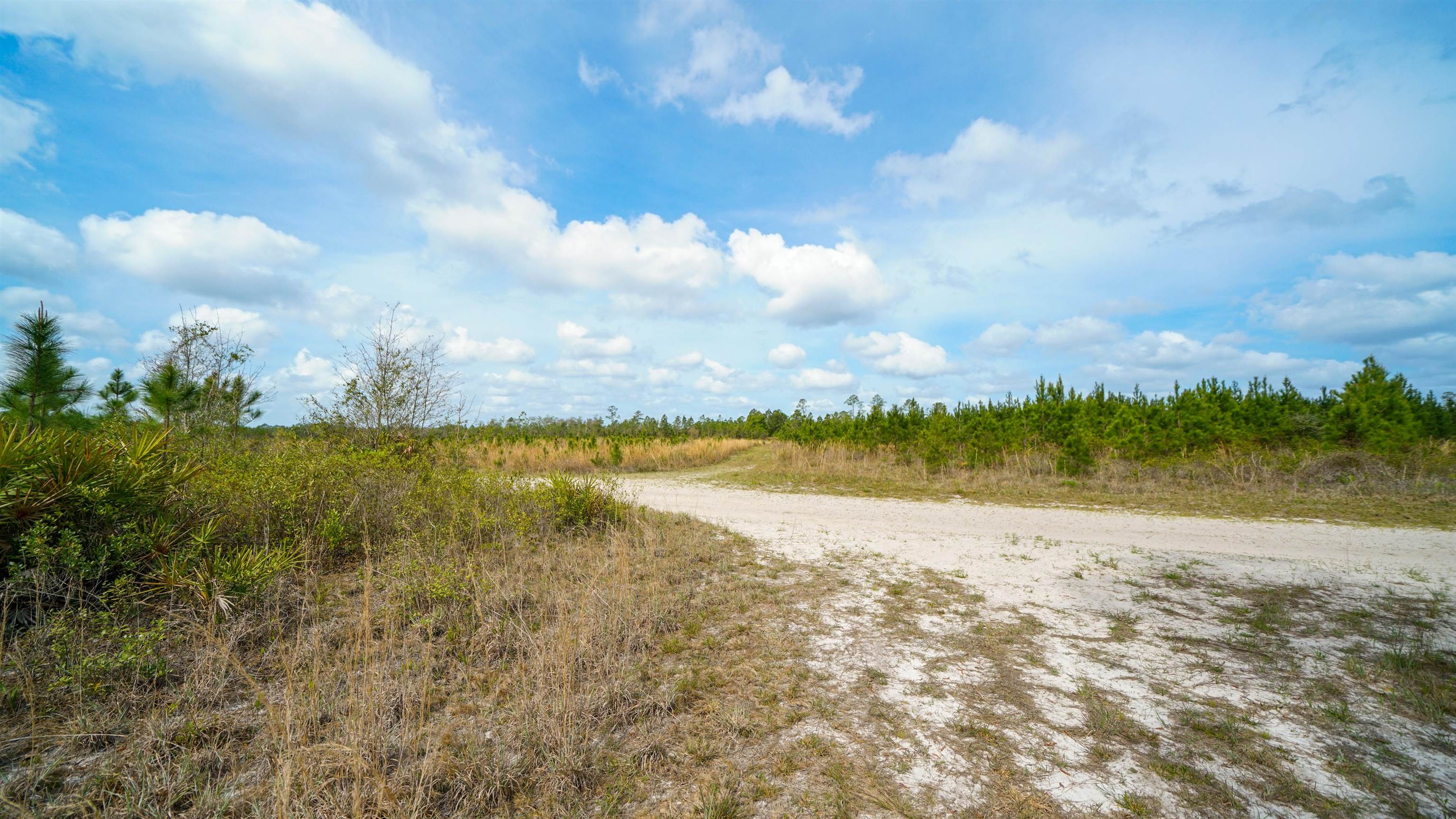 0 Fox Road Palatka, FL 32177 - Photo 17 of 17