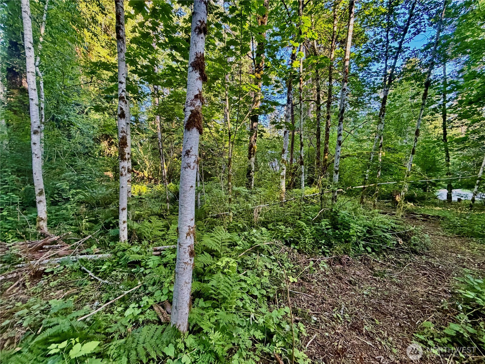 7546 Colleen Court Deming, WA 98244 - Photo 15 of 27