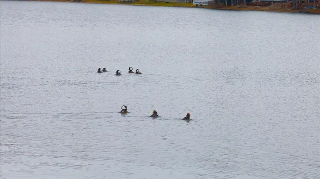 $499,900 | 55 Loop Road, Acton, ME 04001