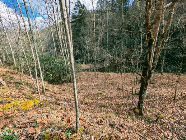$129,000 | Tbd Rockhouse Road, Clintwood, VA 24228