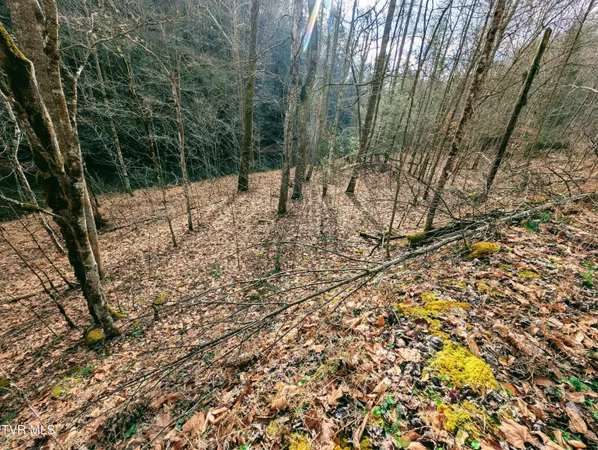 $129,000 | Tbd Rockhouse Road, Clintwood, VA 24228