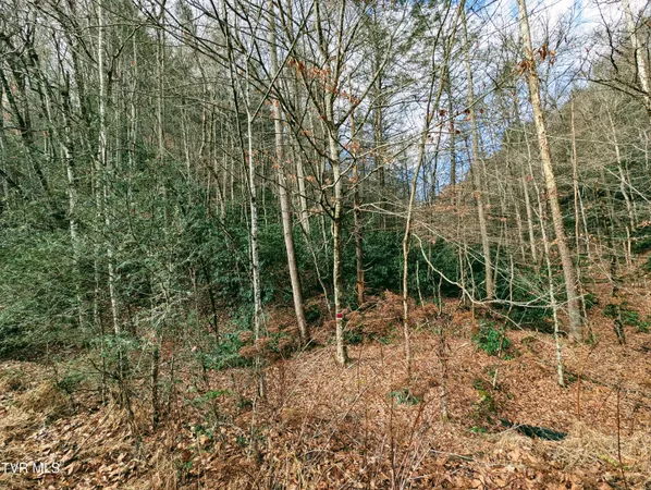 $129,000 | Tbd Rockhouse Road, Clintwood, VA 24228