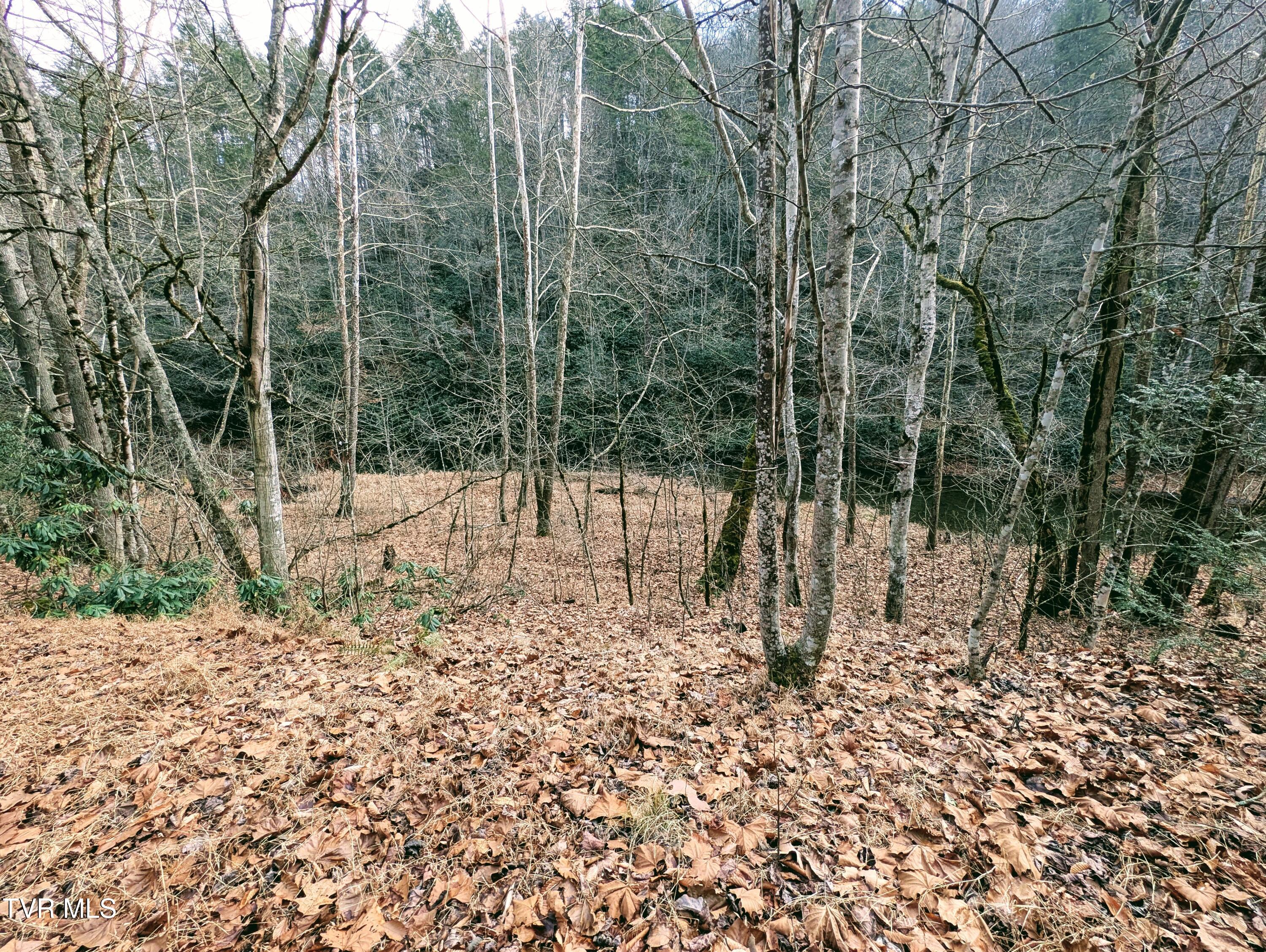 Tbd Rockhouse Road Clintwood, VA 24228 - Photo 16 of 17 1000017740