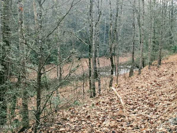 $129,000 | Tbd Rockhouse Road, Clintwood, VA 24228
