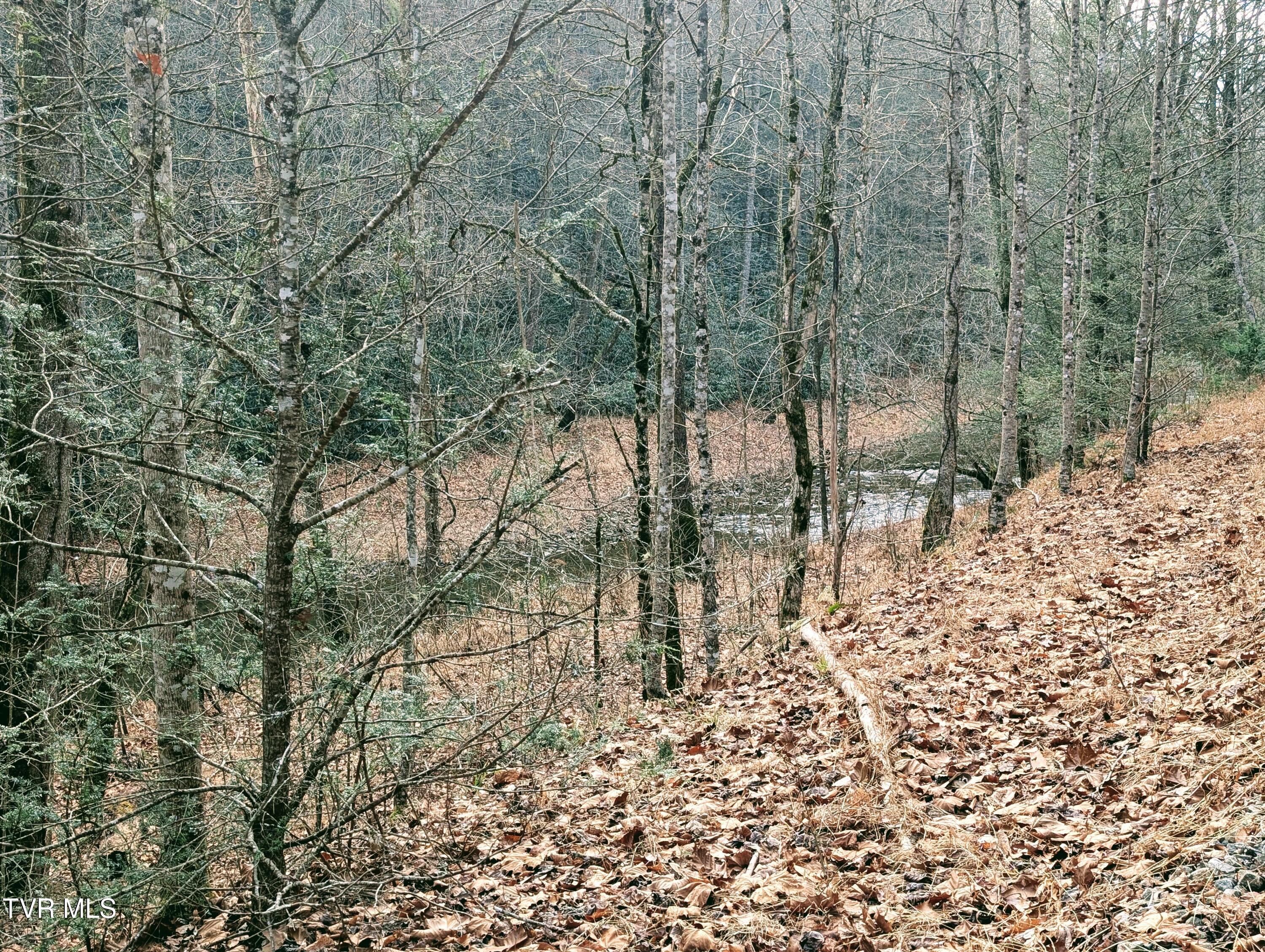 Tbd Rockhouse Road Clintwood, VA 24228 - Photo 17 of 17 1000017741