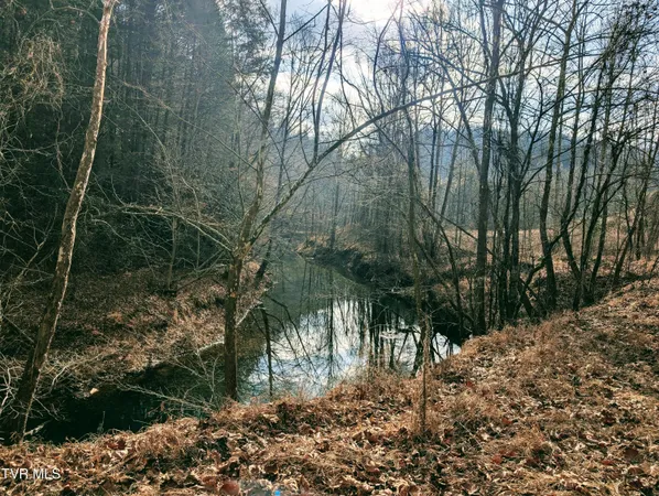 $129,000 | Tbd Rockhouse Road, Clintwood, VA 24228