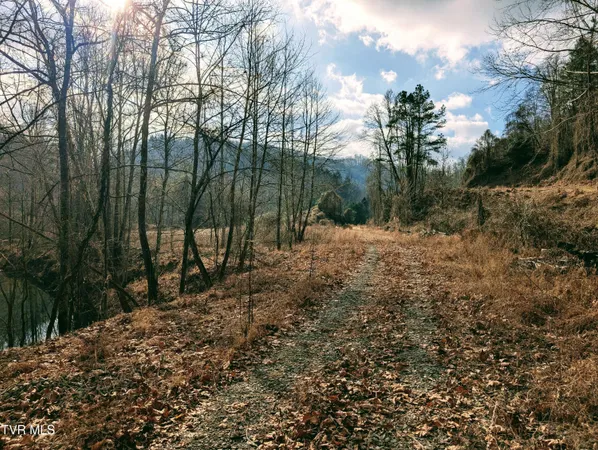 $129,000 | Tbd Rockhouse Road, Clintwood, VA 24228