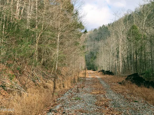 $129,000 | Tbd Rockhouse Road, Clintwood, VA 24228
