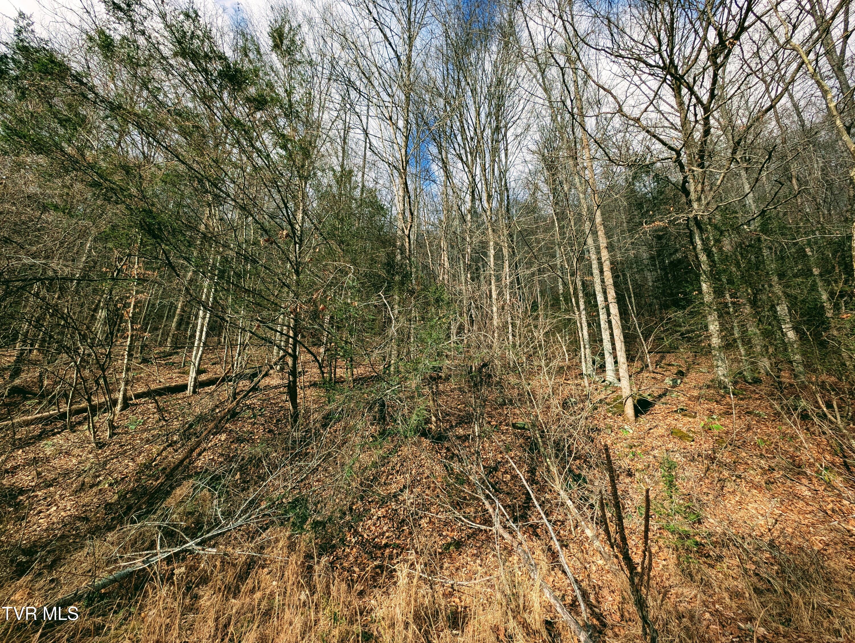 Tbd Rockhouse Road Clintwood, VA 24228 - Photo 9 of 17 1000017733