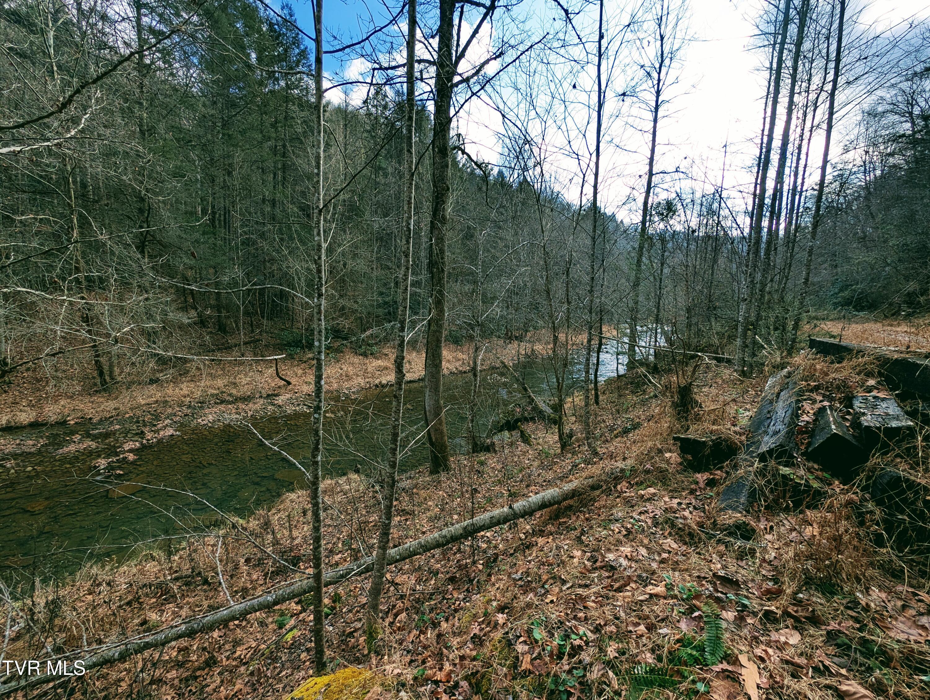 Tbd Rockhouse Road Clintwood, VA 24228 - Photo 10 of 17 1000017734