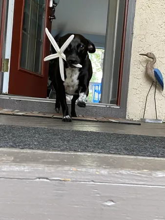 $2,200 | 90 Marina Cove Drive, Niceville, FL 32578