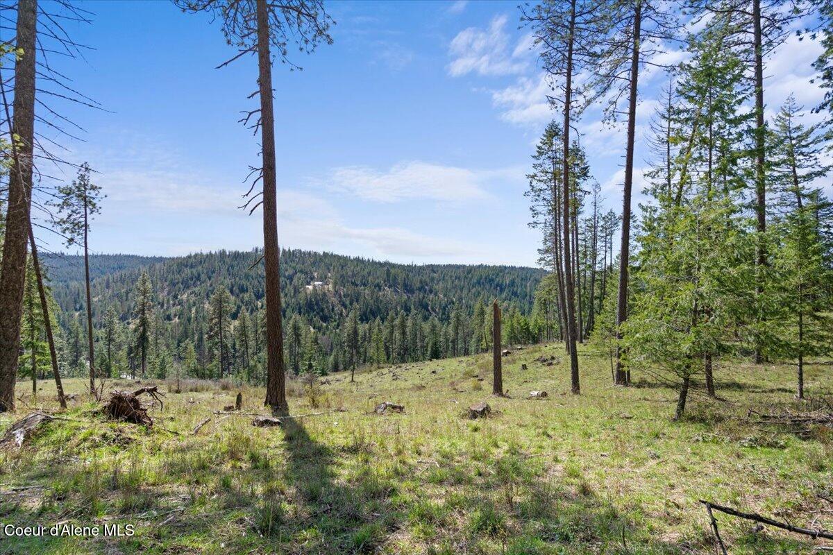 97 Highway 97 Harrison, ID 83833 - Photo 11 of 16 L2-2