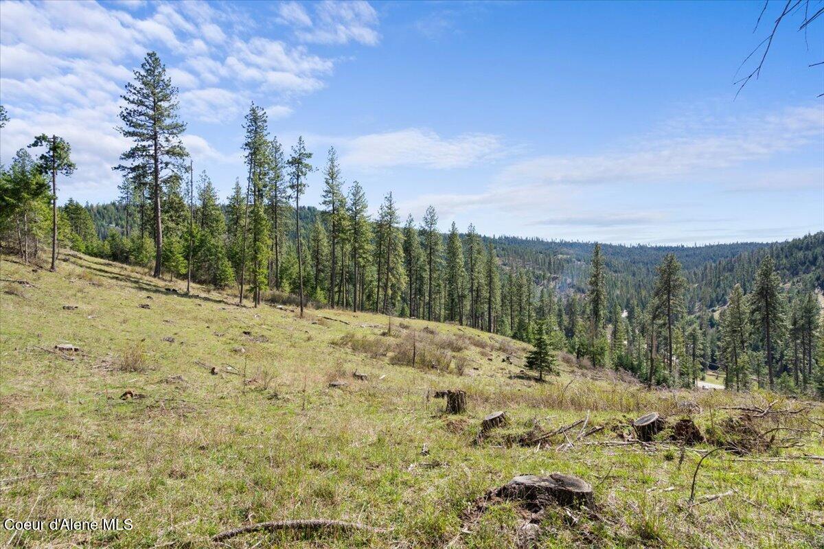 97 Highway 97 Harrison, ID 83833 - Photo 10 of 16 L2-3