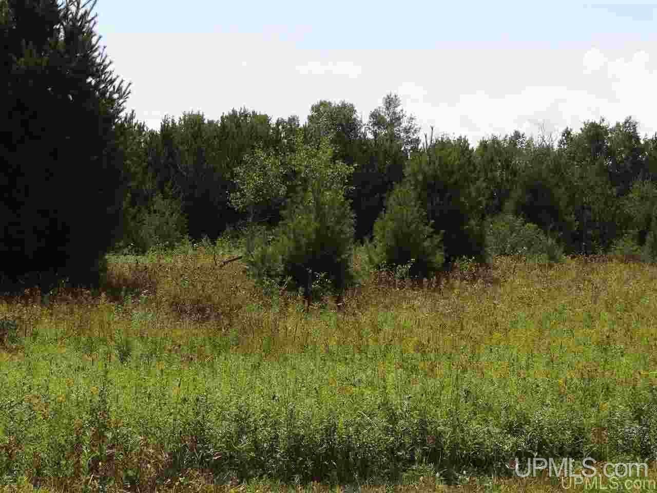 Tbd Leppi Road Lake Linden, MI 49945 - Photo 11 of 16