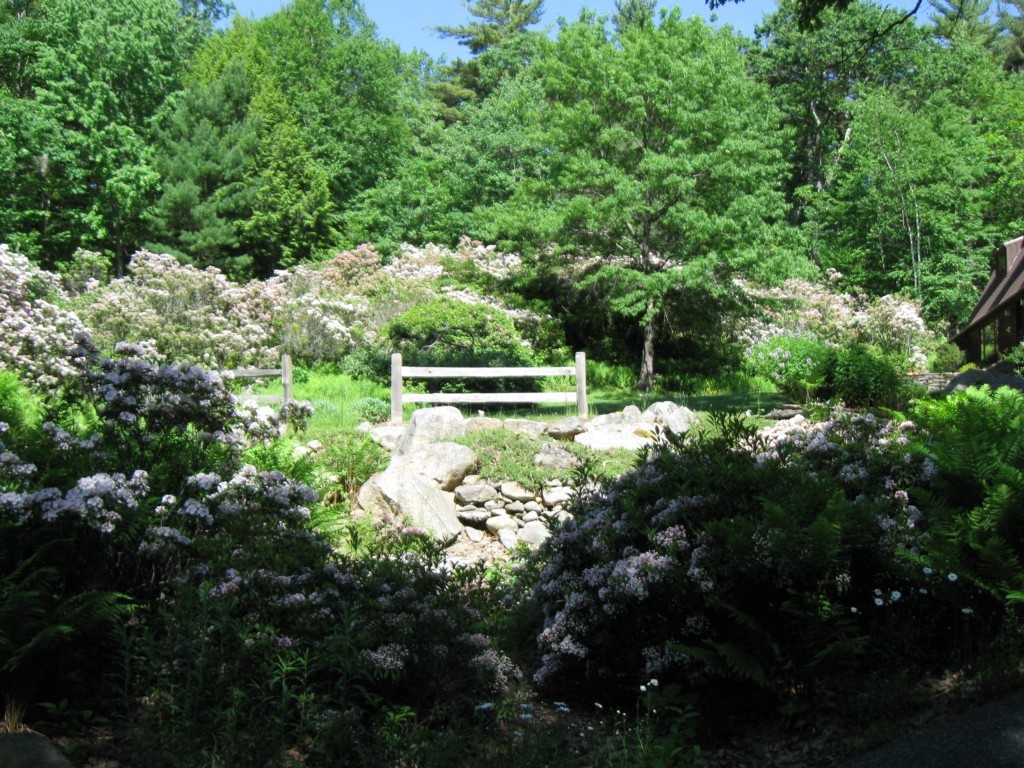 34 Chestnut Hill Road Leverett, MA 01054 - Photo 26 of 29 a view of a lush green forest with lawn chairs and plants