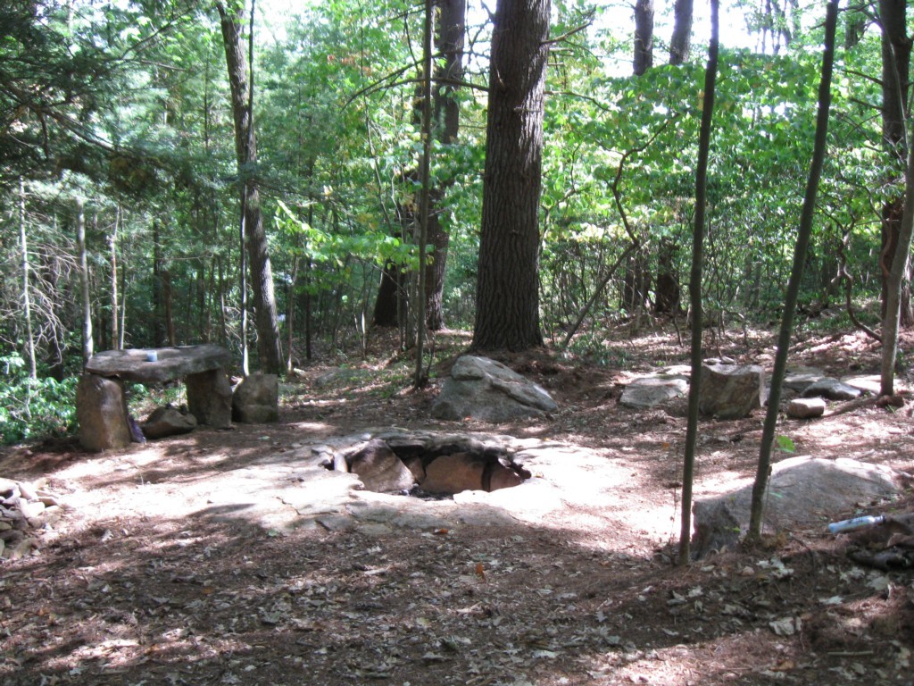 34 Chestnut Hill Road Leverett, MA 01054 - Photo 27 of 29 a view of a tree with a yard