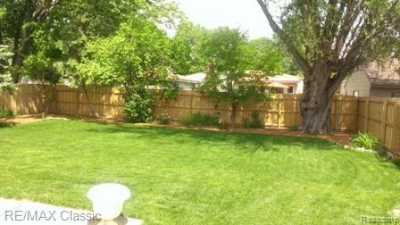 Big Backyard 