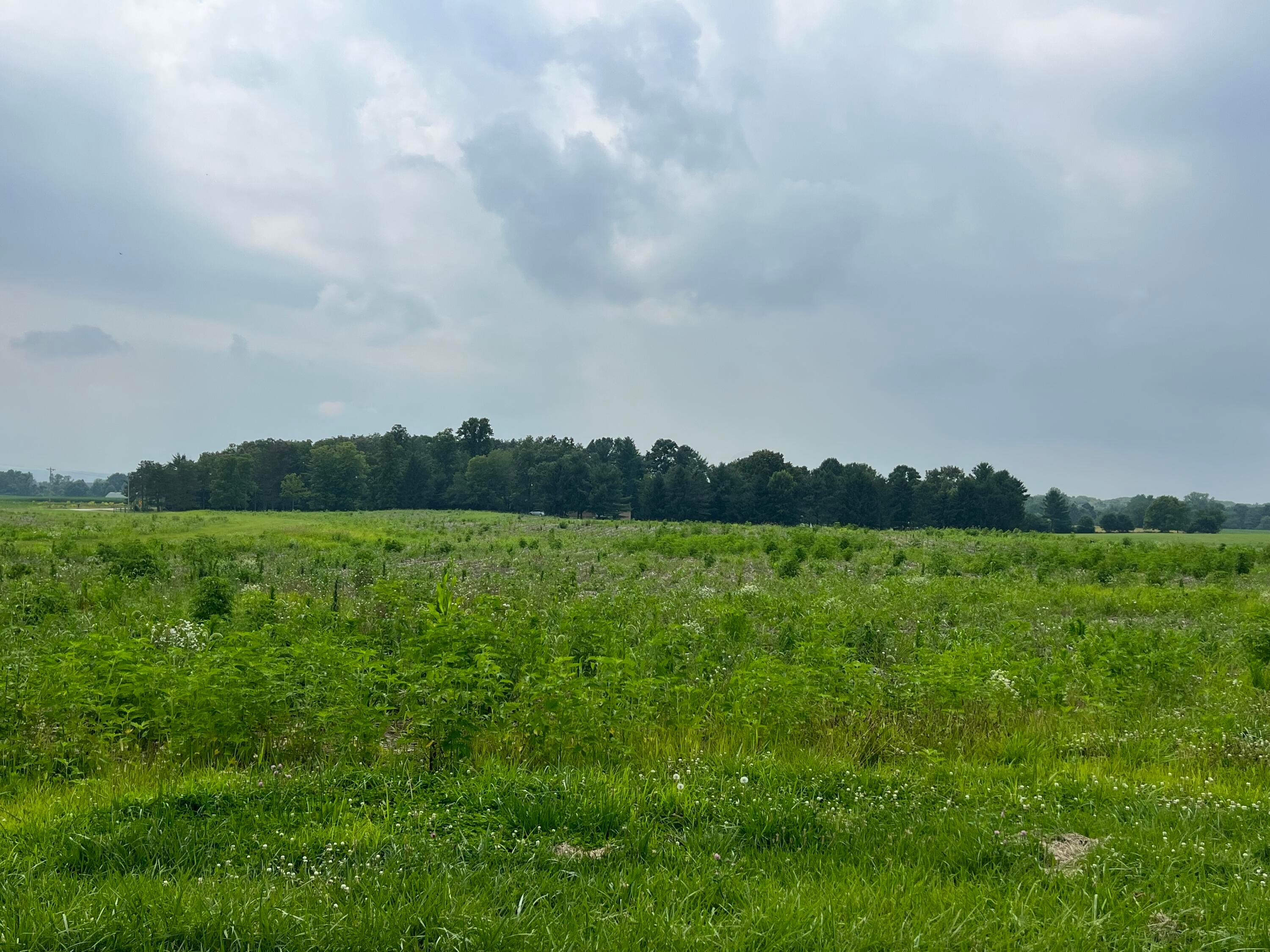 O Fisher Road Northwest, Unit LOT 3 Baltimore, OH 43105 - Photo 2 of 3 Lot 3