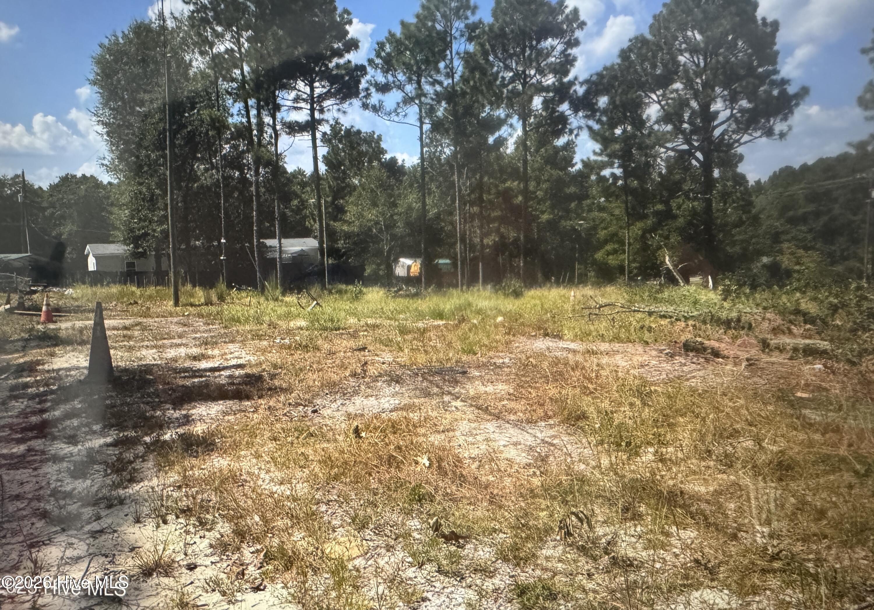 0 Wiregrass Road Hamlet, NC 28345 - Photo 2 of 8 IMG_8084
