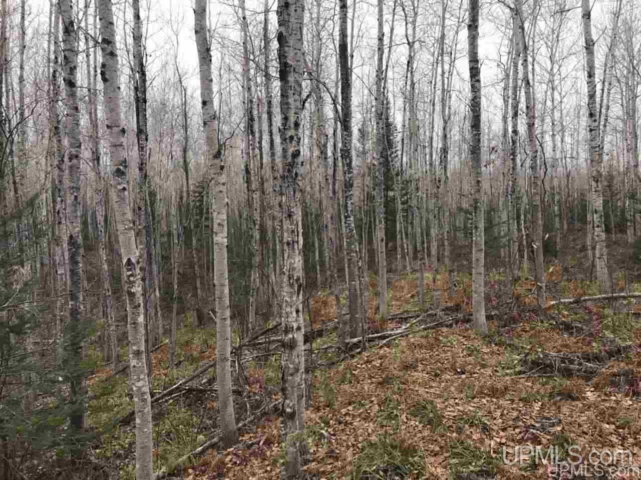 Tbd Off River Road, Unit 1 Hermansville, MI 49847 - Photo 8 of 12 Gallery Image 8