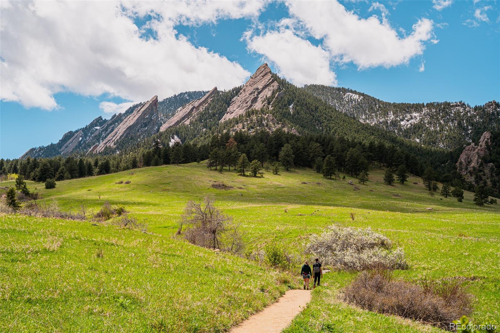 1835 Columbine Avenue Boulder, CO 80302 - Photo 39 of 40 a view of a swimming pool with a yard