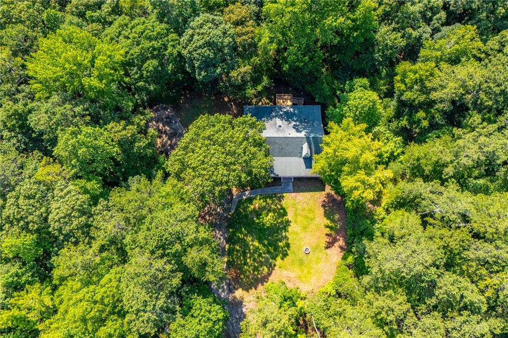 8291 Highway 5 Winston, GA 30187 - Photo 60 of 62