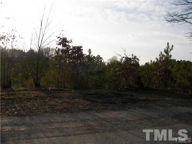 2840 Thomas Road Henderson, NC 27537 - Photo 3 of 3 a view of a yard