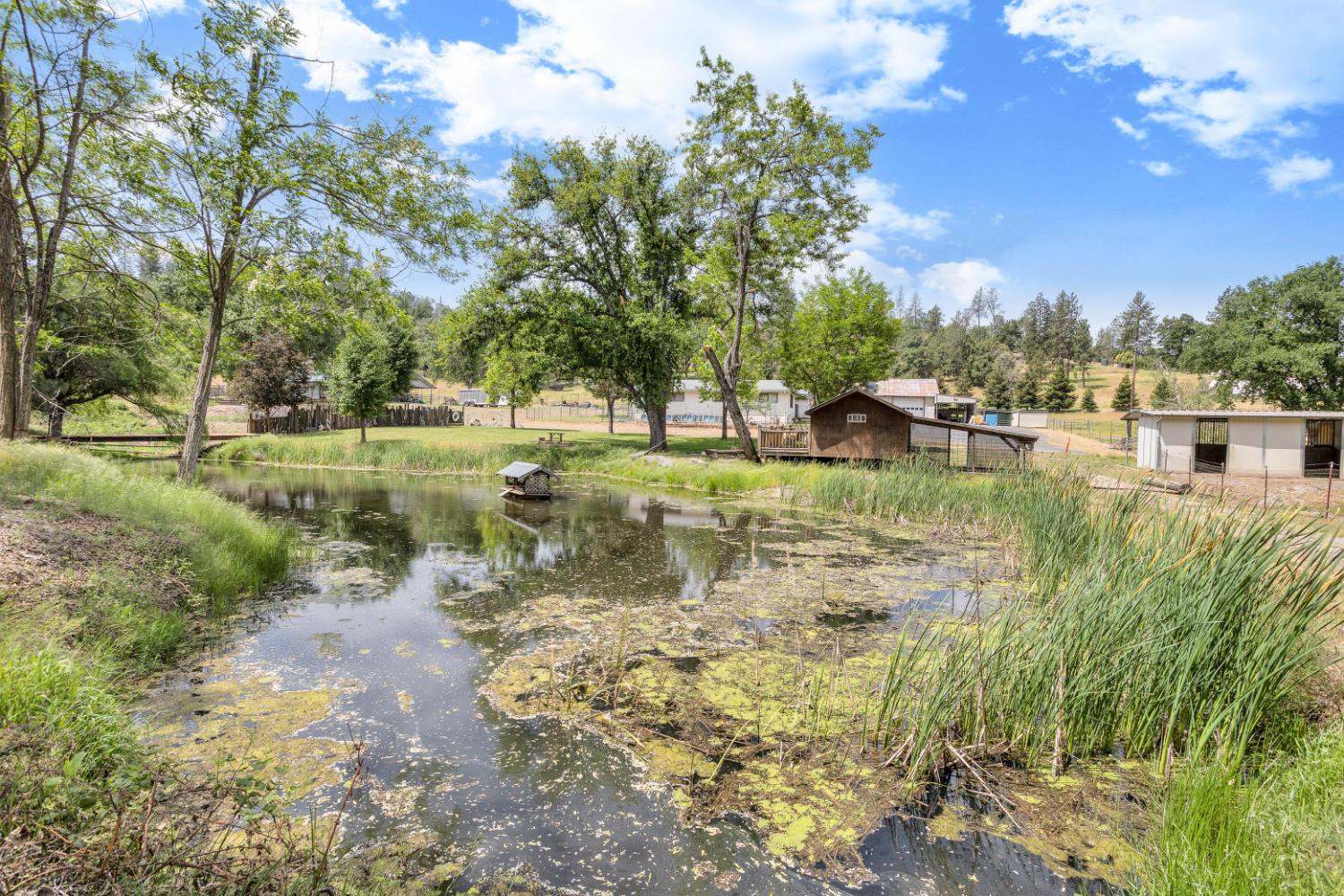 22025 Ferretti Road Groveland, CA 95321 - Photo 84 of 92