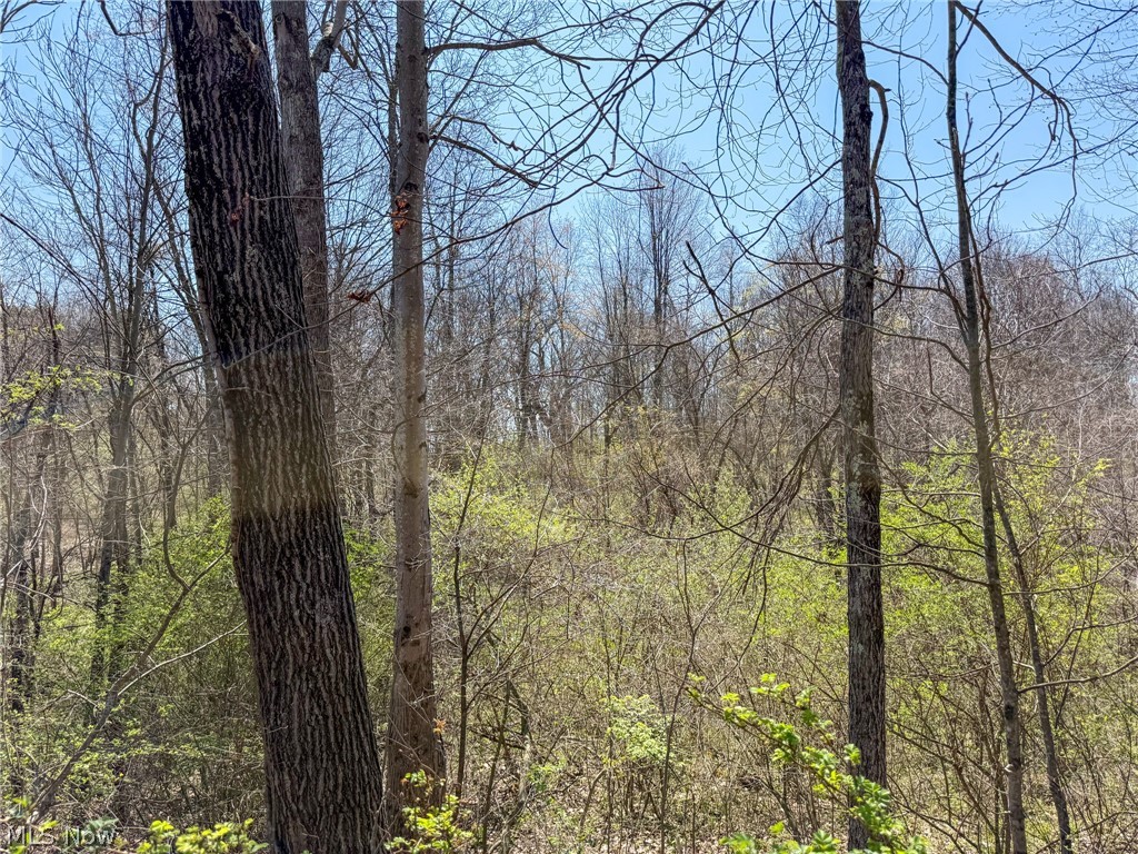 Claysville Road Cumberland, OH 43732 - Photo 45 of 47
