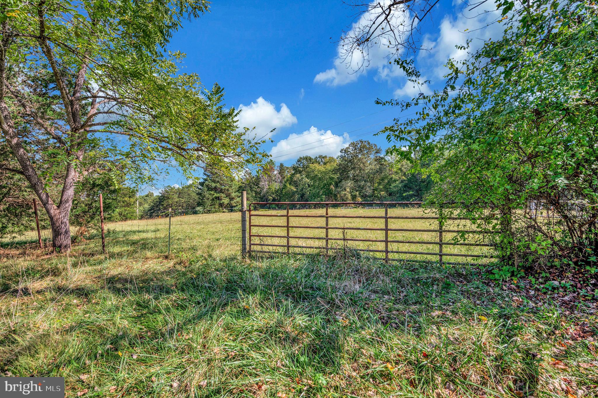 31934 Indiantown Road Locust Grove, VA 22508 - Photo 48 of 60 a view of a backyard