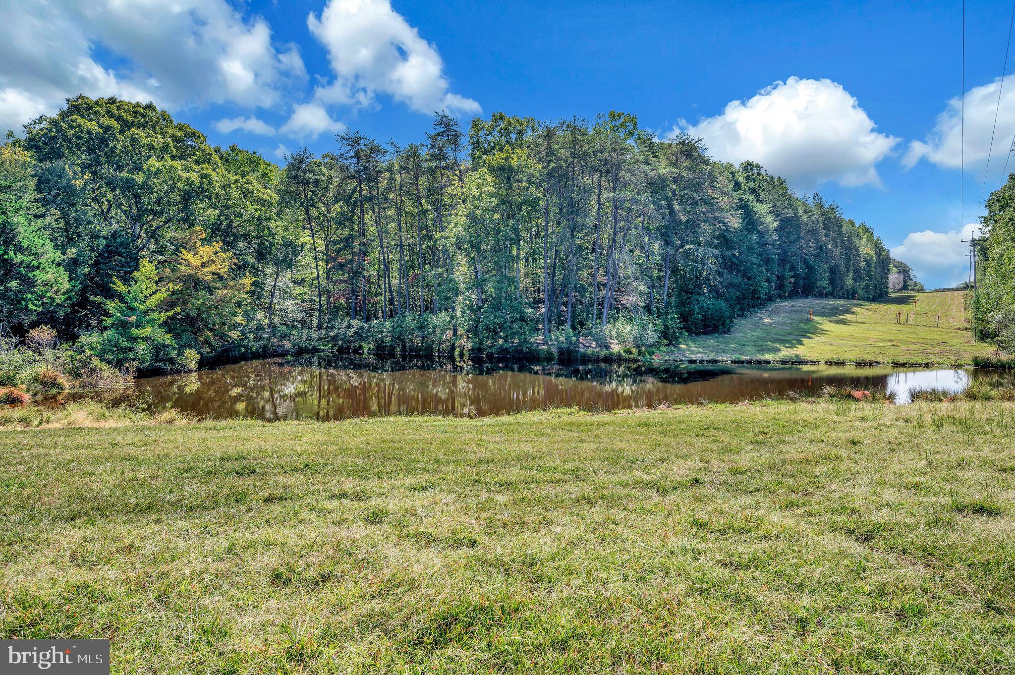 31934 Indiantown Road Locust Grove, VA 22508 - Photo 56 of 60 Large Spring-fed pond-Bring your fishing pole