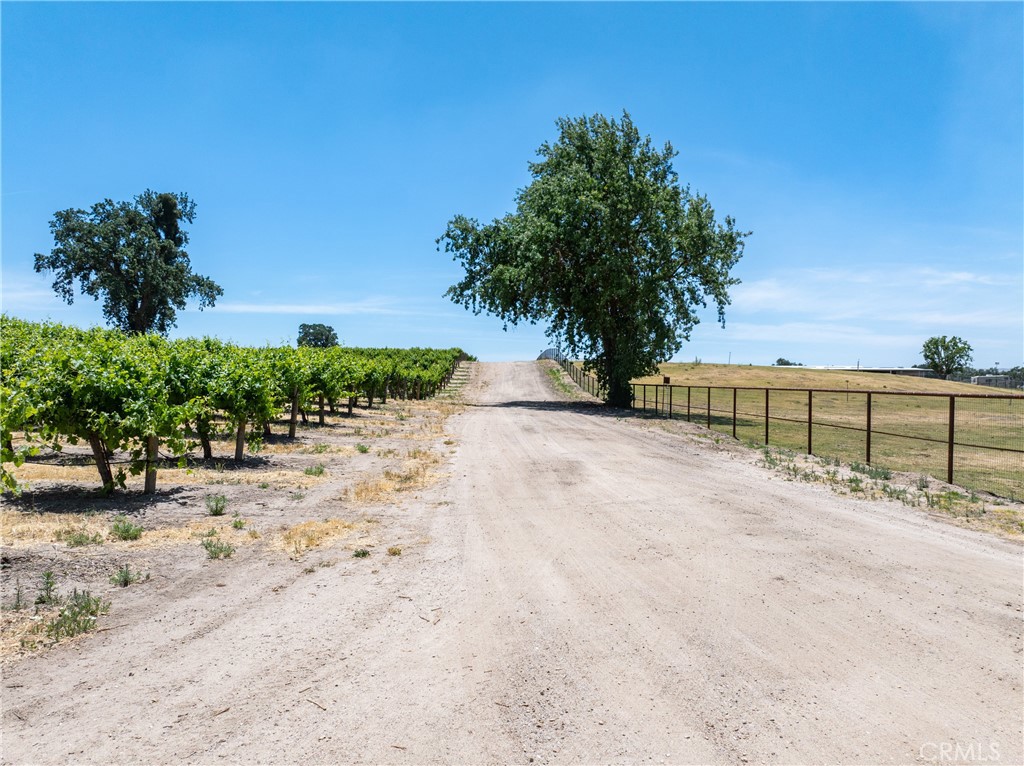 5275 Camp 8 Road Paso Robles, CA 93446 - Photo 28 of 32 a view of a road with a yard