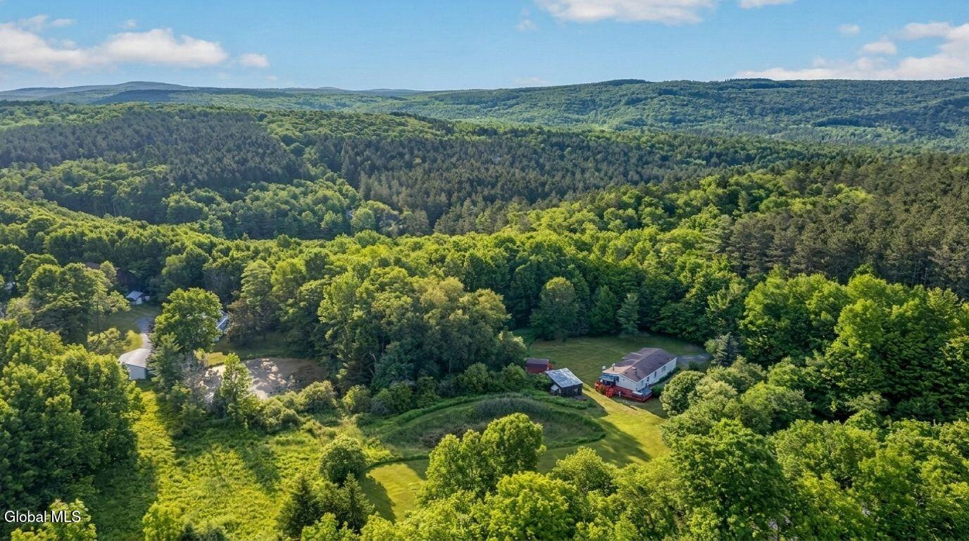 171 Rossman Hill Road Summit, NY 12175 - Photo 2 of 54 171-Rossman-Hill-Rd-Summit-Exterior (17)