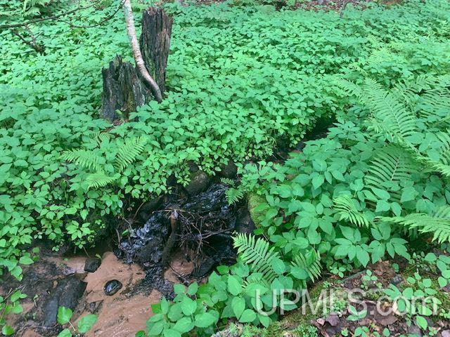 W8987 Co Road Pembine, WI 54156 - Photo 27 of 27