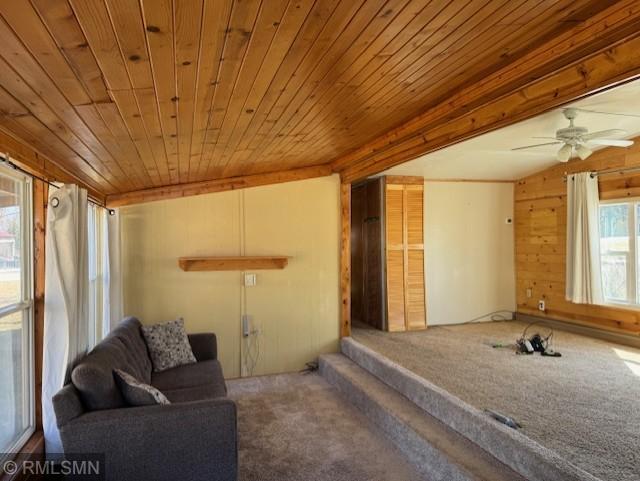 802 4th Street Pepin, WI 54759 - Photo 8 of 11