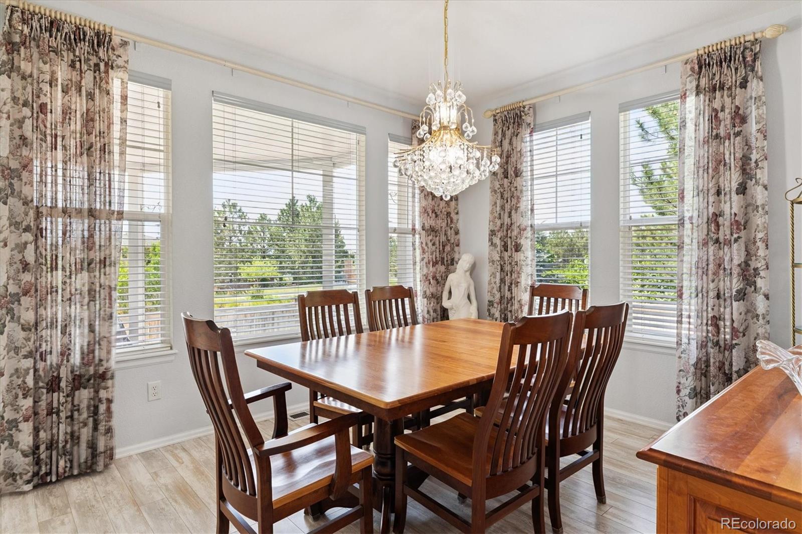 10754 Towerbridge Circle Highlands Ranch, CO 80130 - Photo 12 of 35