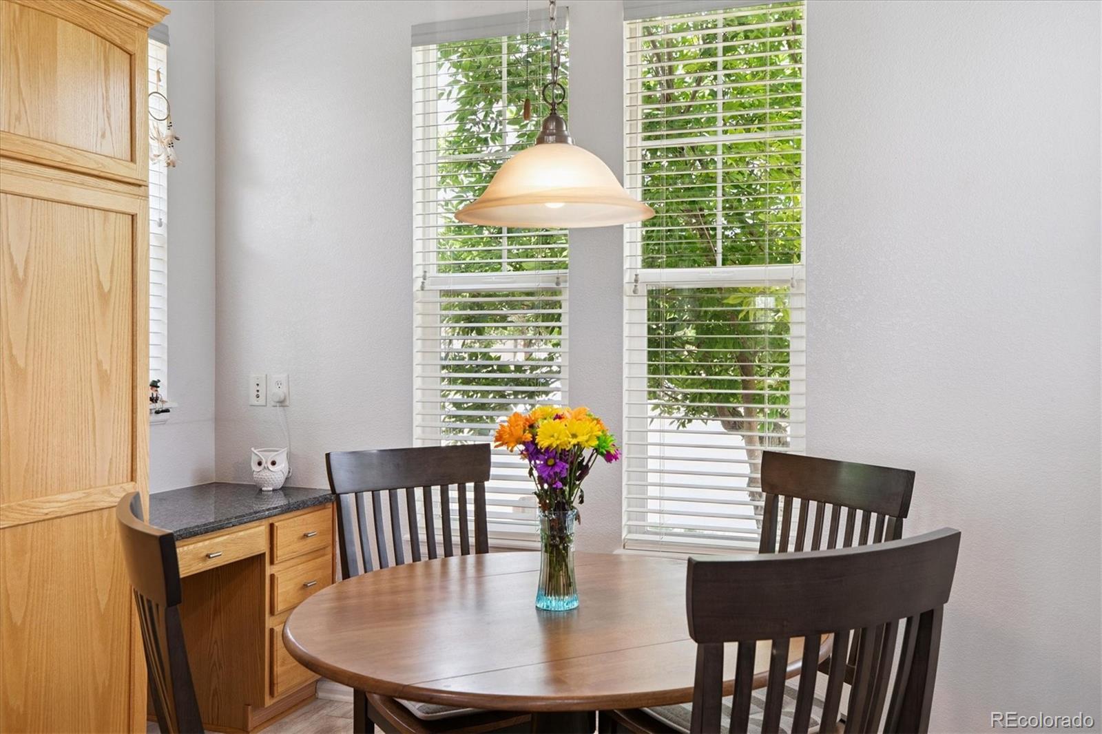 10754 Towerbridge Circle Highlands Ranch, CO 80130 - Photo 10 of 35