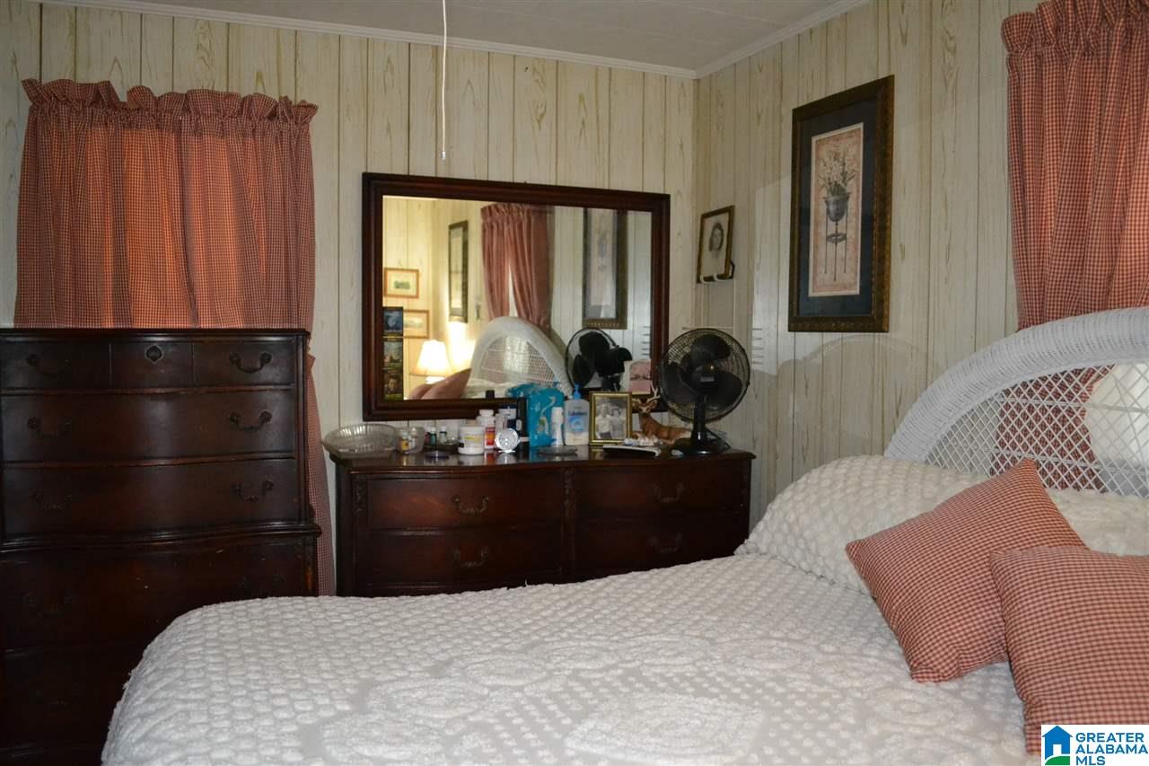 10066 Mize Road Remlap, AL 35133 - Photo 29 of 42 Gallery Image 29
