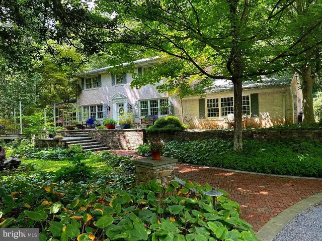 a view of a backyard with plants and tree